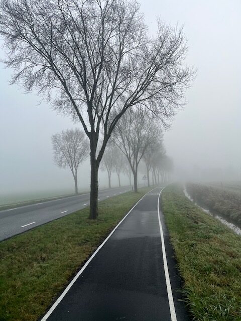 Weekoverzicht 15dec – 21 dec