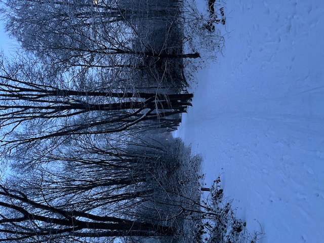 Weekoverzicht 5 jan – 11 jan