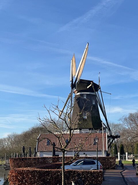 Weekoverzicht 12jan – 18 jan