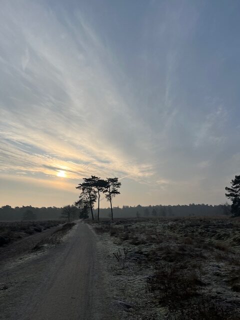 Weekoverzicht 19jan – 25jan