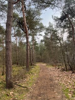 Weekoverzicht 9feb – 15feb