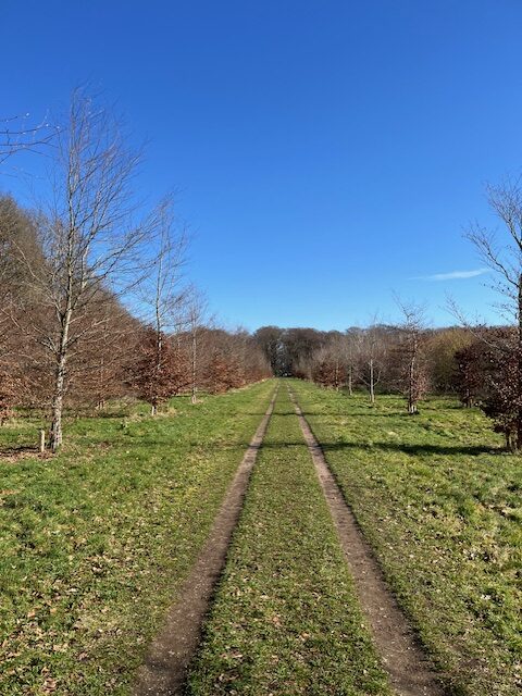 Weekoverzicht 23feb- 1mrt