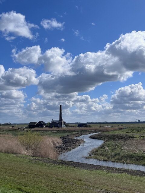 Weekoverzicht 23mrt – 29mrt